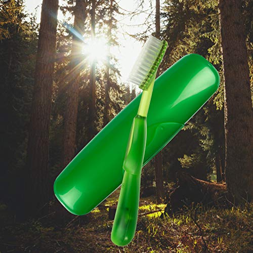 RADIUS Big Brush Toothbrush with Case - BPA Free, ADA Accepted