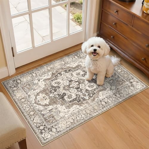 YOUFORTONG Washable 2x3 Non-Slip Vintage Entryway Rug