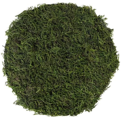 SuperMoss Preserved Moss Placemat - 12" Round Table Decor