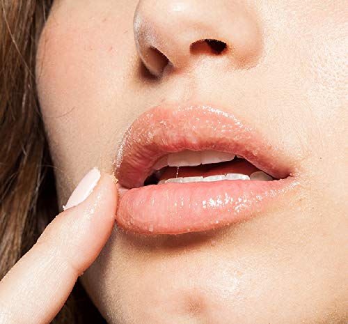 FarmHouse Fresh Lip Gloss & Lip Polish for Soft, Nourished Lips
