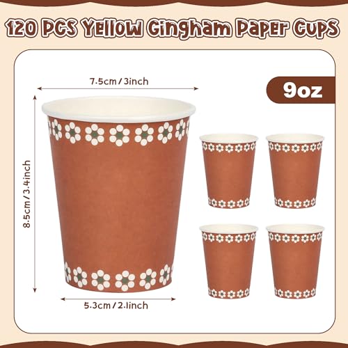 120-Pack Mexican Paper Drinking Cups - 9oz Terracotta Floral Design