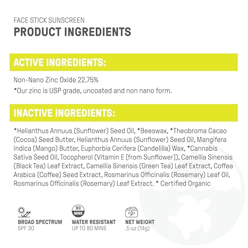 Raw Elements SPF 30 Mineral Face Sunscreen Stick, 0.5 oz Travel Size