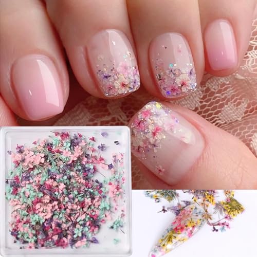 POWPOP Style-04 3D Dried Flower Nail Art Stickers, Colorful Floral Decals for Summer Manicure