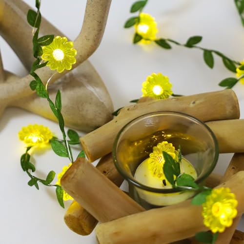 Flower String Lights with Remote Control - 30 LED Copper Wire Fairy Lights