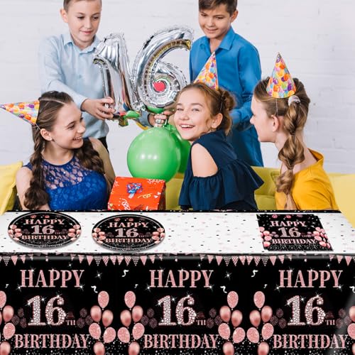Rose Gold Sweet 16th Birthday Party Tableware Set for 20 Guests