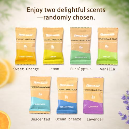 Flowcheer Foaming Hand Soap Starter Kit - 2 Dispensers + 2 Tablets (Variety)