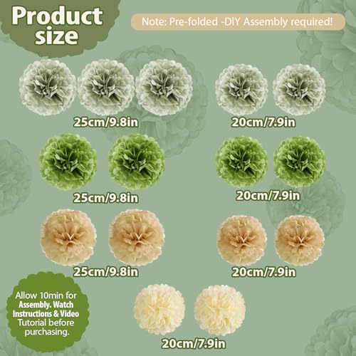 Sage Green Tissue Paper Pom Poms - 15 PCS for Baby Showers & Weddings