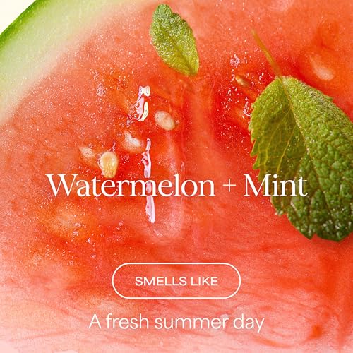 Raw Sugar Watermelon Mint Liquid Hand Wash, Moisturizing Soap - 4 Pack
