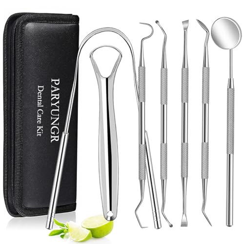 7-Piece Professional Oral Care Kit - Stainless Steel Dental Tools