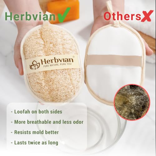 Natural Loofah Exfoliating Body Scrubber Pads - Oval, 3 Pack