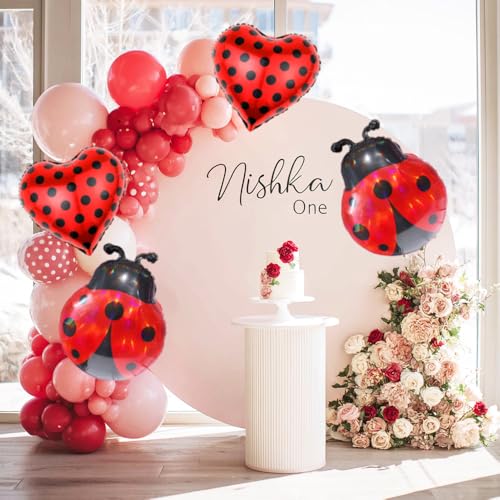 Ladybug Balloon Arch Kit for Baby Showers & Birthday Parties