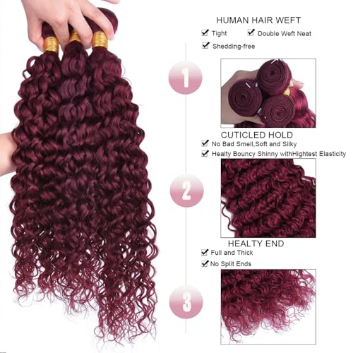 #99J Burgundy Water Wave Hair Bundles 24-28 Inch - Double Wefted Virgin Human Hair