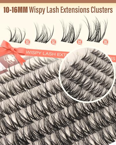 Zegaine Spider Lash Clusters - Natural Wispy Eyelash Extensions 10-16mm