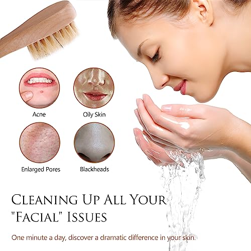 Kootinn Mini Dry Brush 2 Pack - Natural Bristle Exfoliating Facial Brush