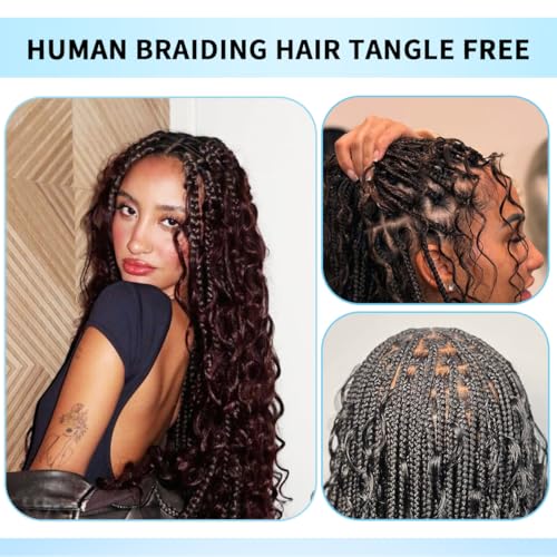 Human Braiding Hair for Boho Braids 100g 28 Inch Deep Wave Bulk Human Hair 100% Unprocessed 12A Brazilian Virgin Boho Hair for Braiding Knotless 2 Bundles/Pack Natural Color