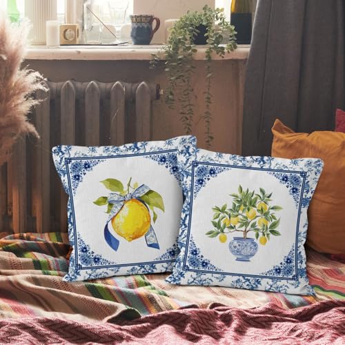 Sun Bird Lemon Chinoiserie Pillow Covers, 18x18 Set of 2