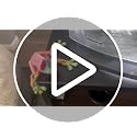 4PCS 3D Frog Fridge Magnets - Realistic Movable Joint Decor