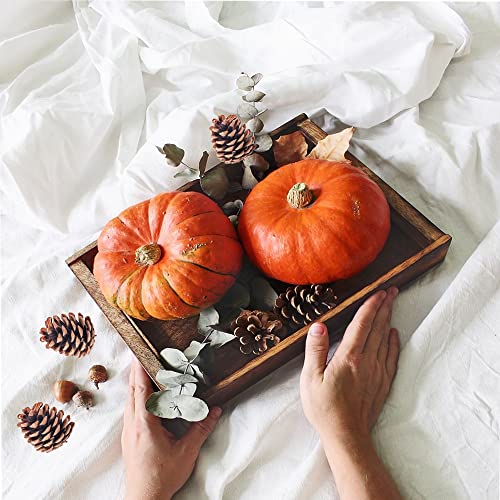 18 Natural Pine Cones for Rustic Christmas & Fall Decor