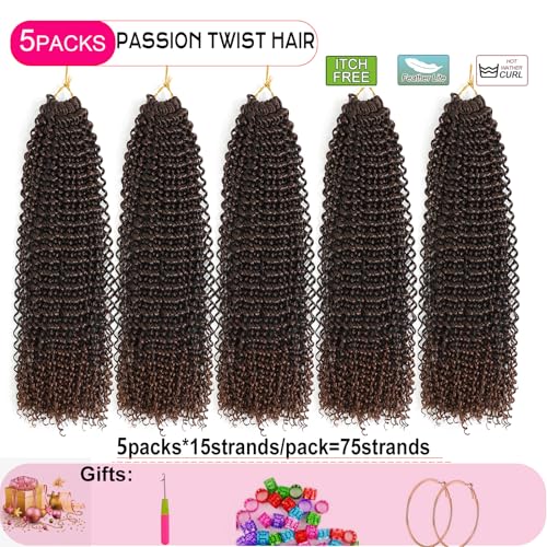 Ahrencan 10 Inch Passion Twist Crochet Hair - 5 Pack T1B/30