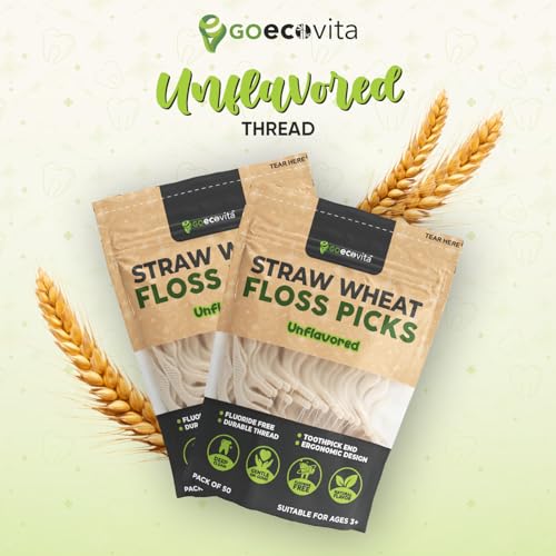 GoEcoVita Plant-Based Dental Floss Picks, Unflavored (200 Pack)