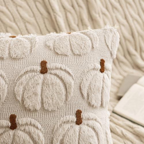 MIULEE Fall Pumpkin Pillow Covers Set of 2 - Cozy Autumn Decor 18x18
