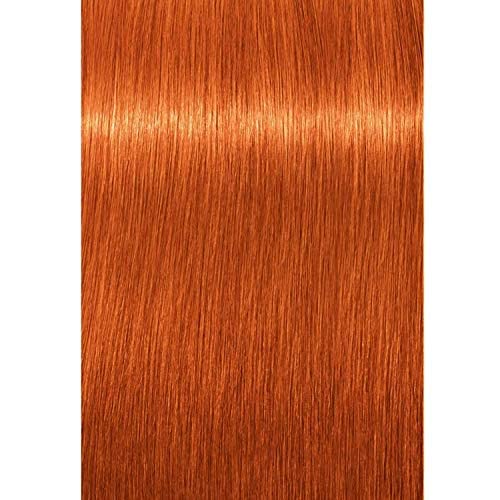 Schwarzkopf Igora Royal Permanent Hair Color - Light Blonde Copper, 60g | Vibrant, Long-Lasting Color