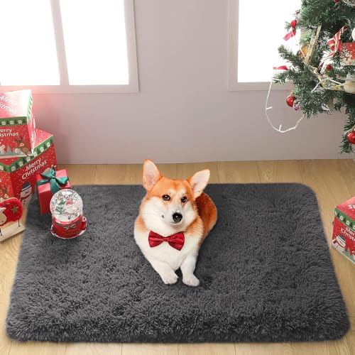 Fluffy Dark Grey Area Rug 2x3 - Soft Shaggy Doormat for Bedroom & Living Room