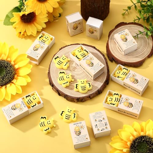Bee Stress Balls Gift Set - 12 Positive Inspirational Toys with Boxes
