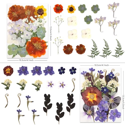 LUXEEASE Vintage Pastel Dried Pressed Flowers for Crafts