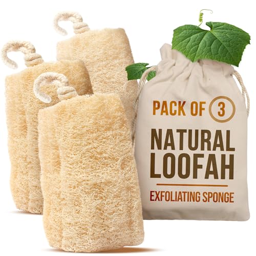 Natural Egyptian Loofah Body Scrubber - Exfoliating Shower Sponge (3 Pack)