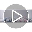 Minky Puppy Dog Lovey Blanket for Babies & Toddlers