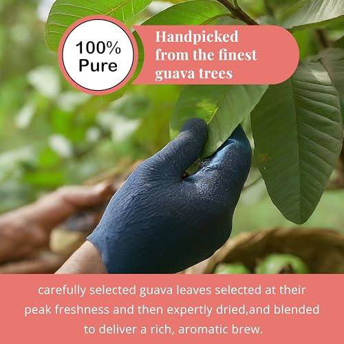 Dried Guava Leaves Tea - 100+ Natural, Caffeine-Free Herbal Infusion