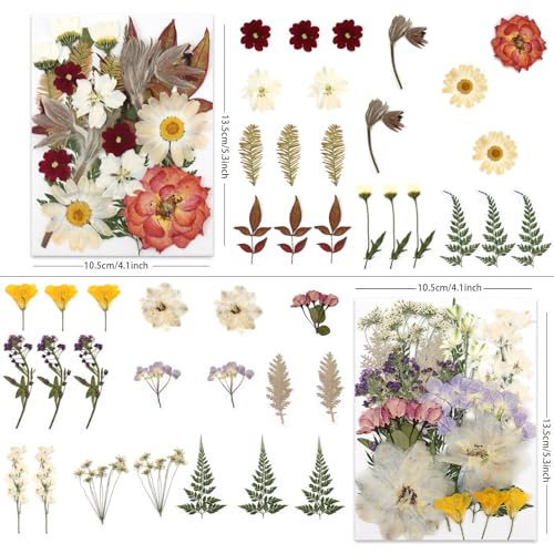 LUXEEASE Vintage Pastel Dried Pressed Flowers for Crafts
