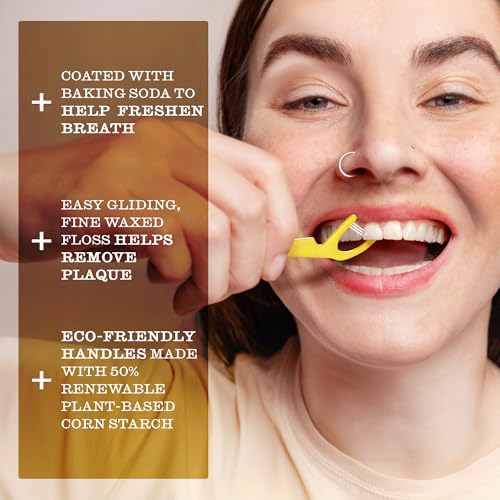 TWICE Eco-Friendly Dental Floss Picks – 300 Count, Mint Flavor