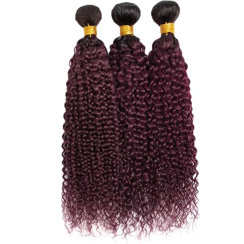 YOUNGHANN 1B/99J Kinky Curly Human Hair Bundles - 10, 12, 14 Inch Two Tone Black to Burgundy