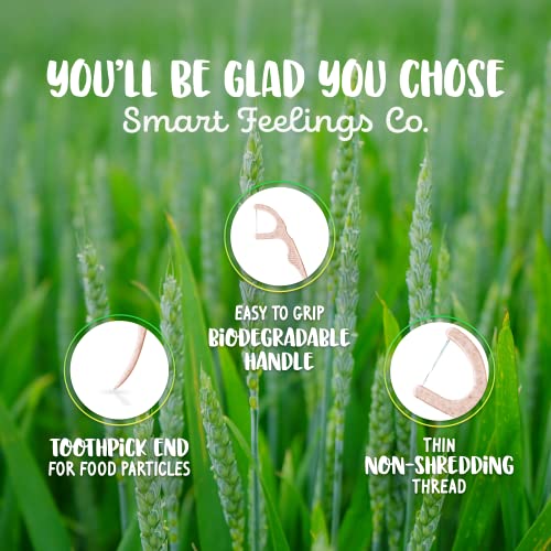 Biodegradable Dental Floss Picks - Eco-Friendly Cornstarch & Bamboo, 200 Count