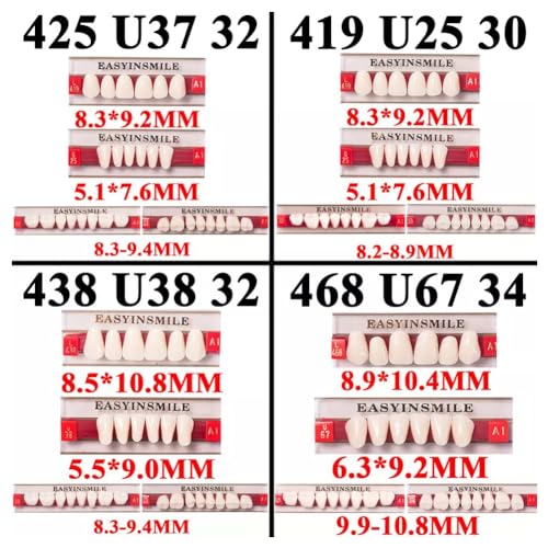 Easyinsmile Full Set Synthetic Resin Teeth A2 / A3 Replacement Dentures Halloween Props