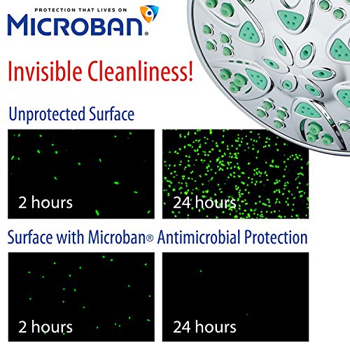 AquaDance Antimicrobial 6-Setting High-Pressure Shower Head - Mold & Bacteria Protection, Chrome