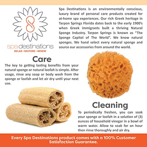Natural Yellow Sea Sponge 5-6 Inch - Exfoliating Bath & Body Sponge