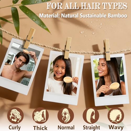 Violet 2 Pack Mini Travel Hair Brush for Detangling Curly, Thick, Wet & Dry Hair