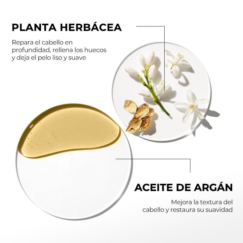 Collagen Hair Treatment Mask - Deep Repair Argan Oil Essence for All Hair Types | 10ml (24 Packs)