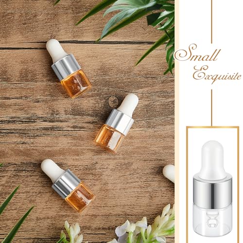 Didaey 4 Pcs 1ml Silver Glass Oil Dropper Bottles - Mini Sample Containers