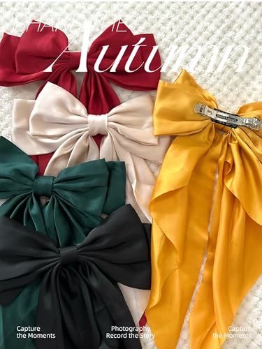 Multicolor TERSE Hair Bows for Women - 10PCS Big Satin Clips