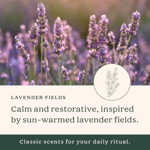 Lavender Fields Moisturizing Bar Soap Pack of 4 - Coconut Oil & Shea Butter - 6 oz Each - Vegan & Organic - SoF South Of France