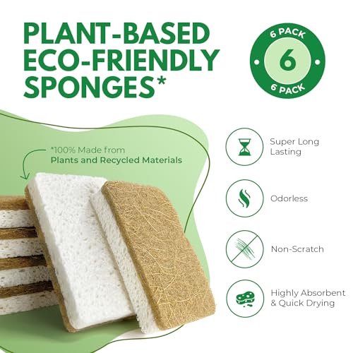 Biodegradable Kitchen Sponges - Natural Cellulose & Coconut, Pack of 6