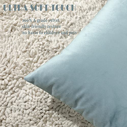 Stellhome Pack of 2 Velvet Throw Pillow Covers, 12x20 inch, Silver Blue
