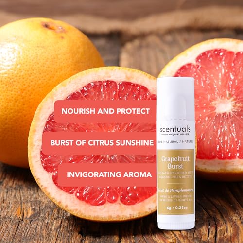 Scentuals Grapefruit Burst Lip Balm Set of 3 - Natural Hydration