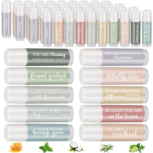 Swiffen 30 Sets Employee Appreciation Lip Balm Gift Sets with Inspirational Quotes - Bulk, Macaron Design, 5 Flavors