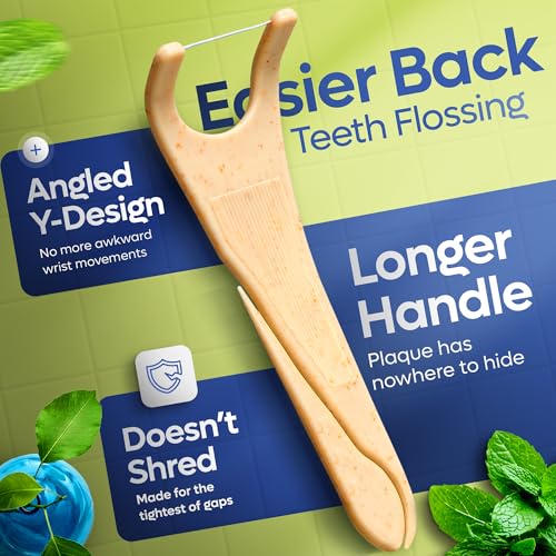 SmartLifeco Eco-Friendly Angled Dental Floss Picks - Mint, 200 Count