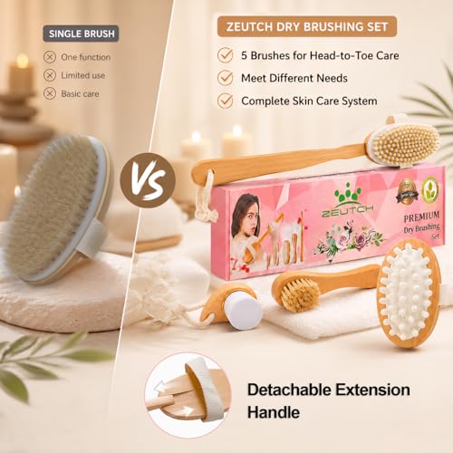 Zeutch Dry Body Brush Set with Long Handle for Exfoliation and Lymphatic Drainage